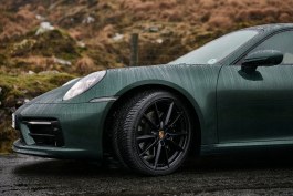 Beetle Rhind