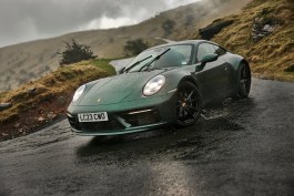Beetle Rhind