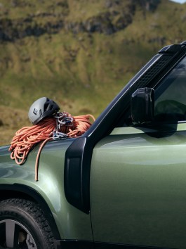 Beetle Rhind